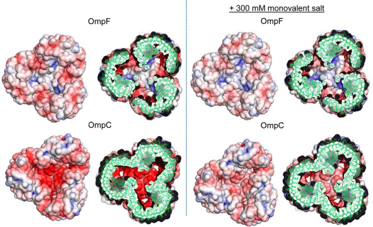 FIGURE 10.