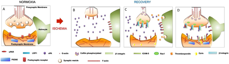 Figure 1: