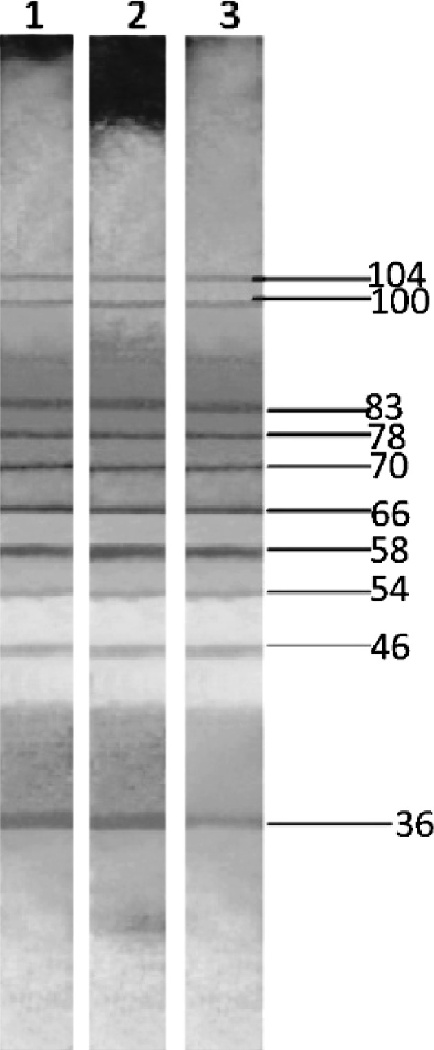 Fig. 3