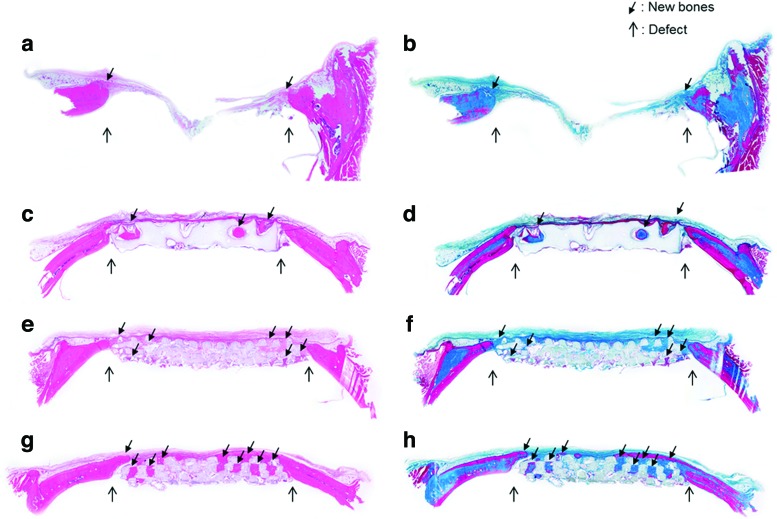 FIG. 8.