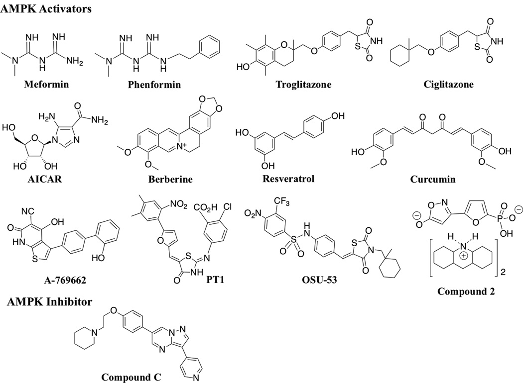 Fig. (2)