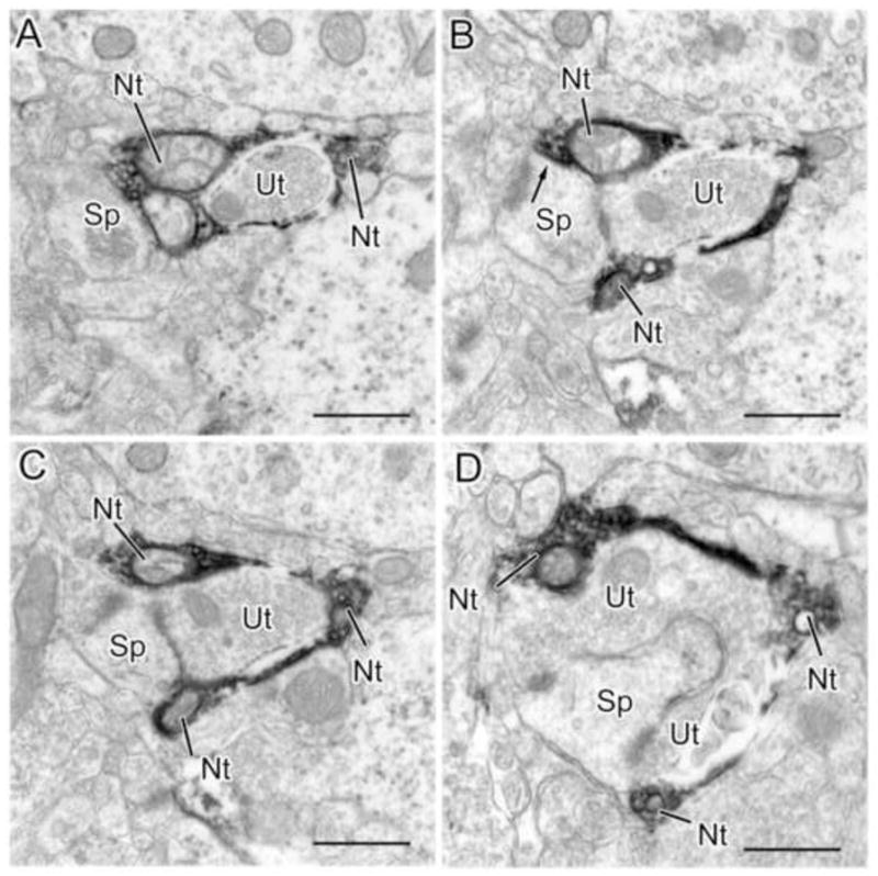 Fig. 9