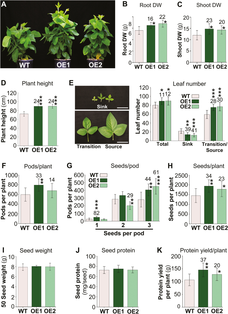 Fig. 8.