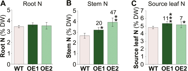 Fig. 7.