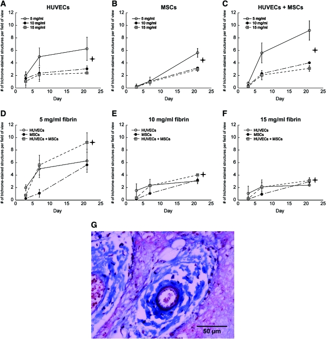 FIG. 6.