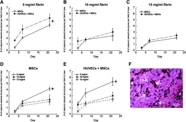 FIG. 7.