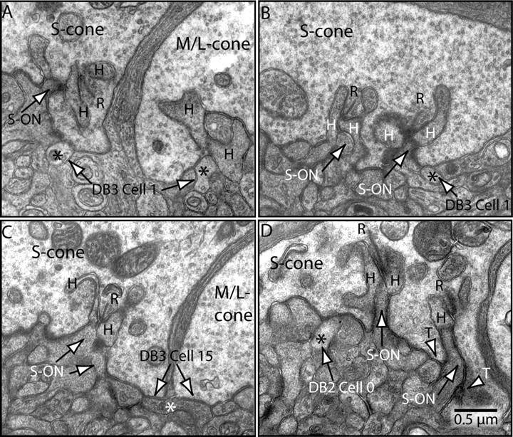 Figure 6.