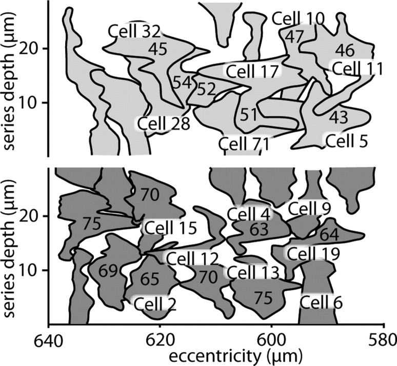 Figure 5.