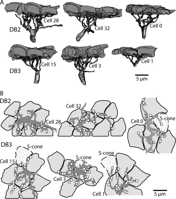 Figure 7.