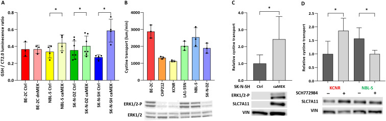 Figure 4