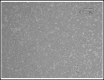 Fig.2
