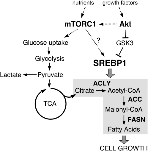 Figure 7