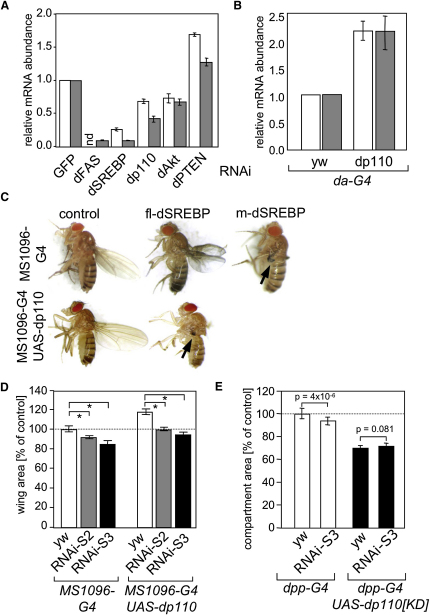 Figure 6