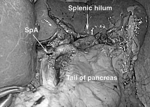 Fig. 4