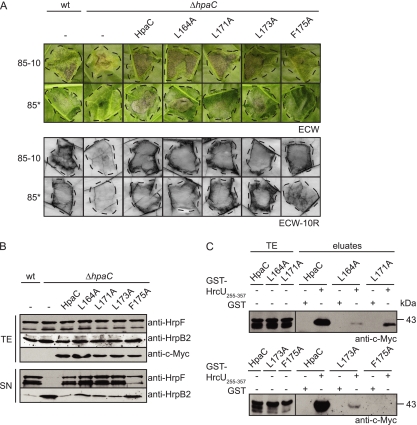 Fig. 8.