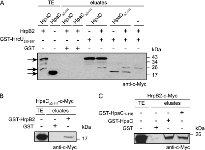 Fig. 9.