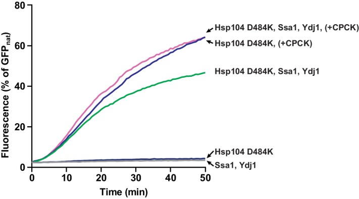 Figure 3—figure supplement 4.