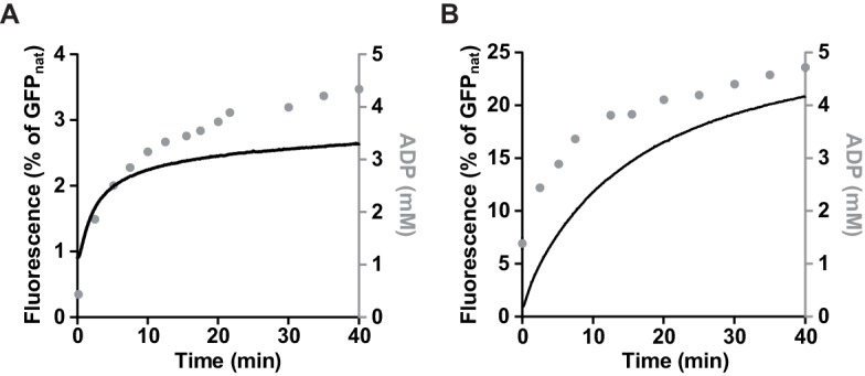 Figure 3—figure supplement 3.