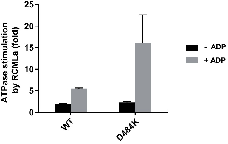 Figure 6—figure supplement 1.