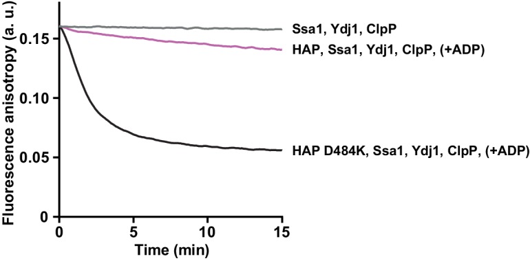 Figure 5—figure supplement 3.