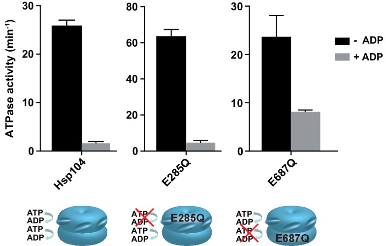 Figure 1—figure supplement 2.