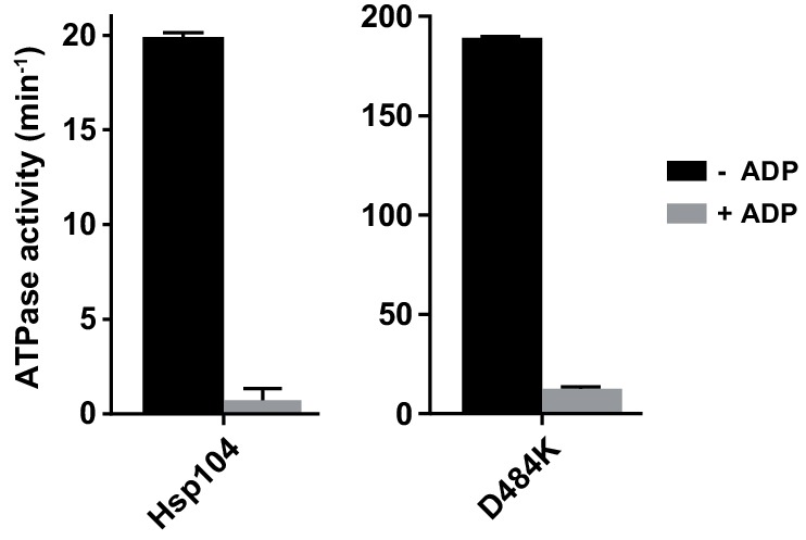 Figure 3—figure supplement 1.