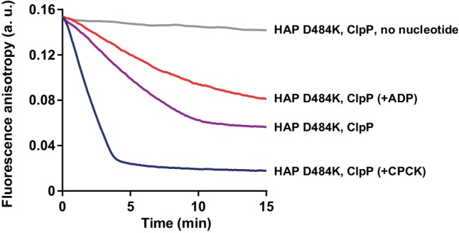 Figure 3—figure supplement 2.