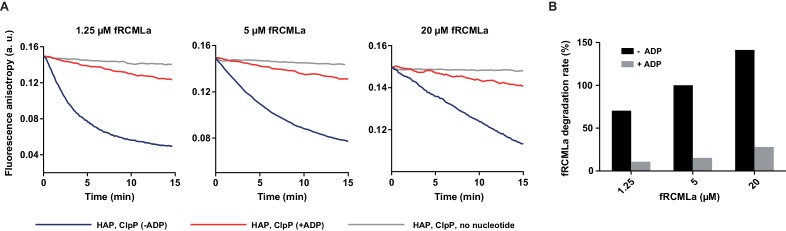 Figure 1—figure supplement 1.