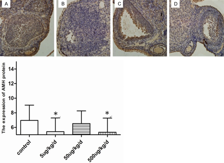 Figure 5