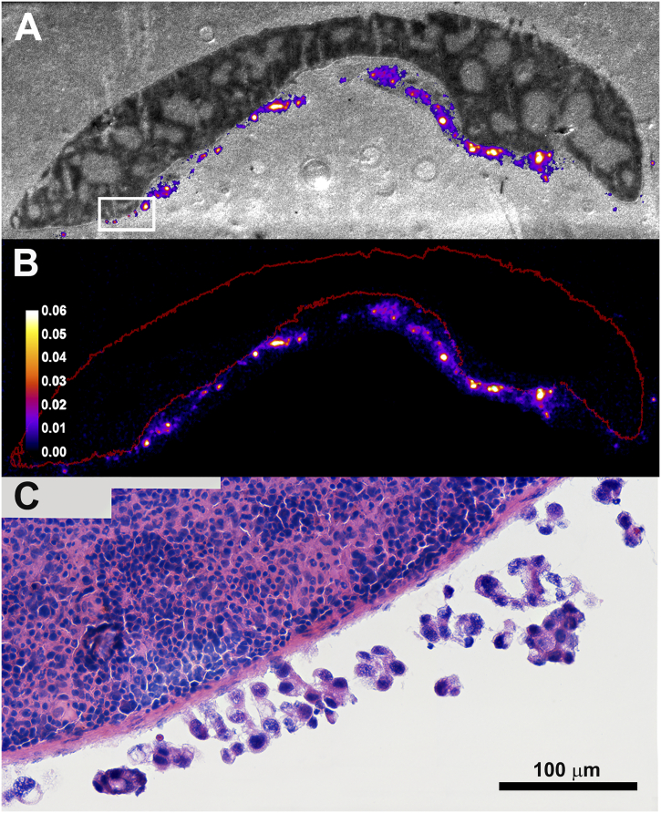 Fig. 3