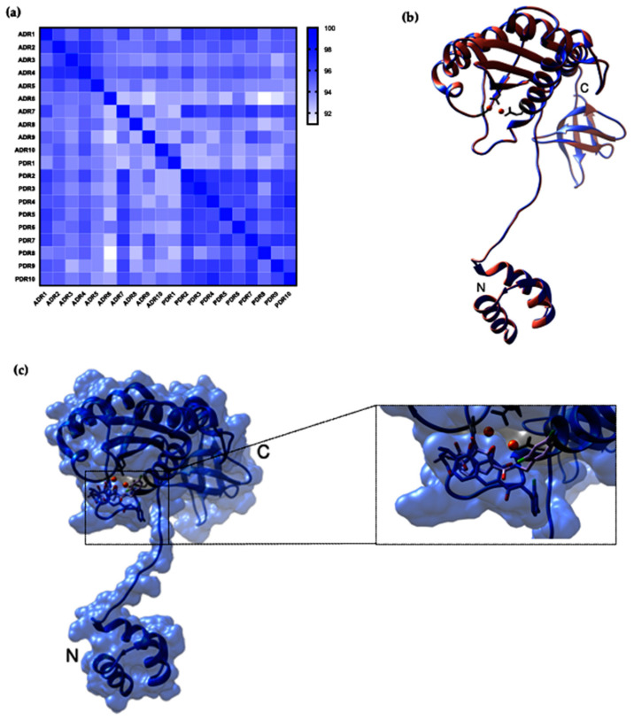 Figure 7