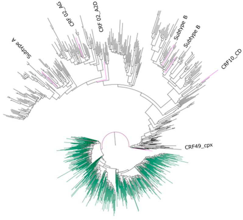 Figure 1