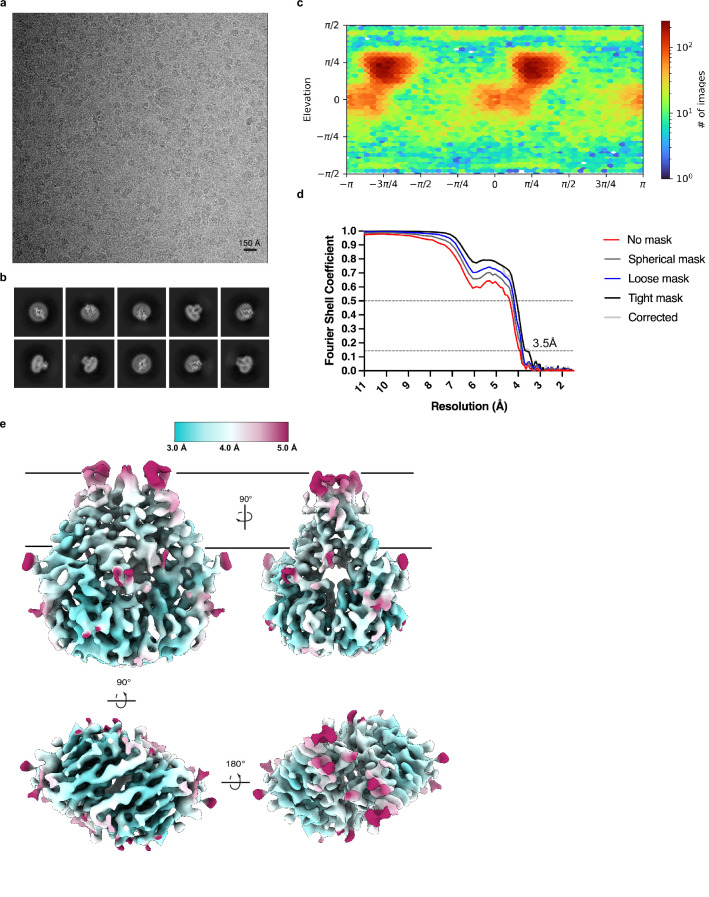 Figure 1—figure supplement 2.