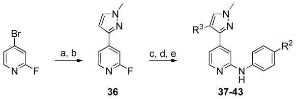 Scheme 3