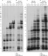 FIG 5