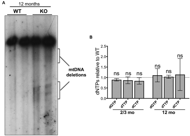 Figure 5.