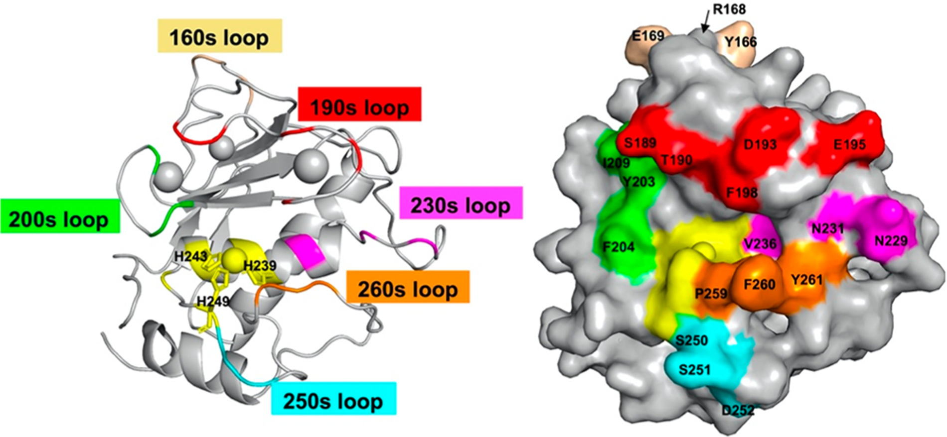 Figure 3.