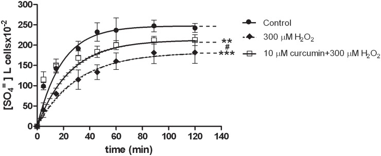 Fig 5