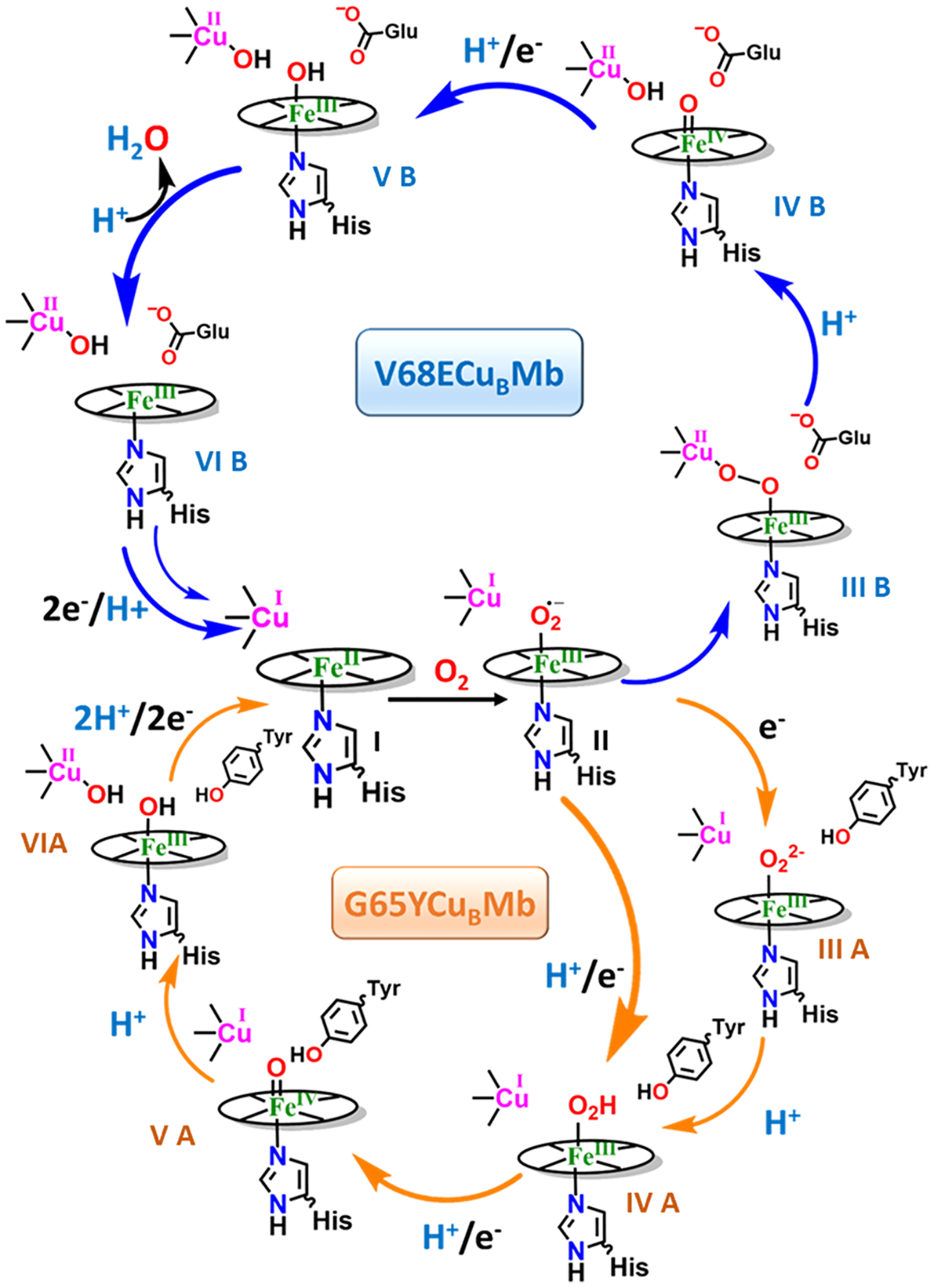 Figure 7.