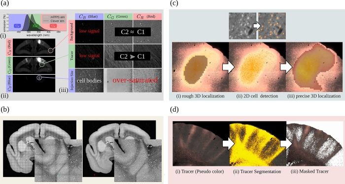 Fig 10