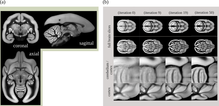 Fig 13