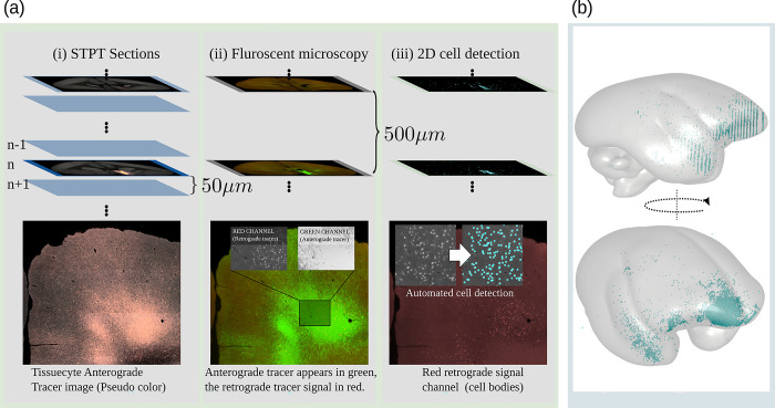 Fig 12