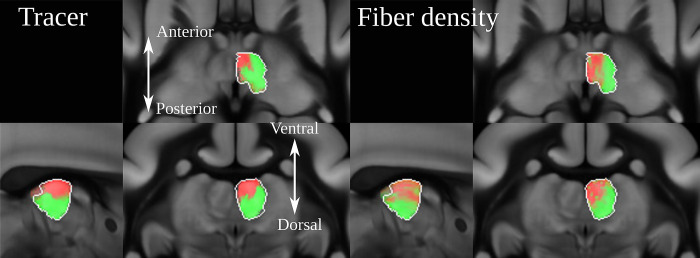 Fig 6