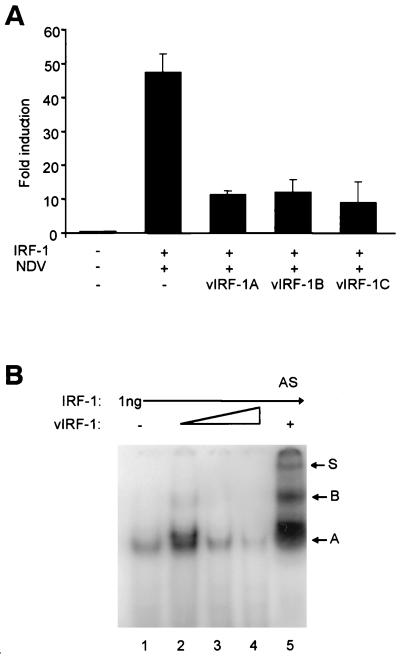 FIG. 5