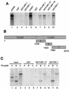 FIG. 6