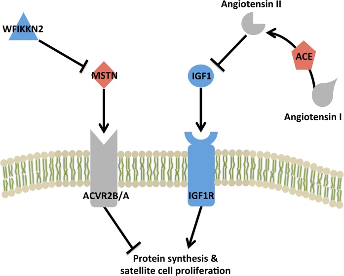 Fig 7