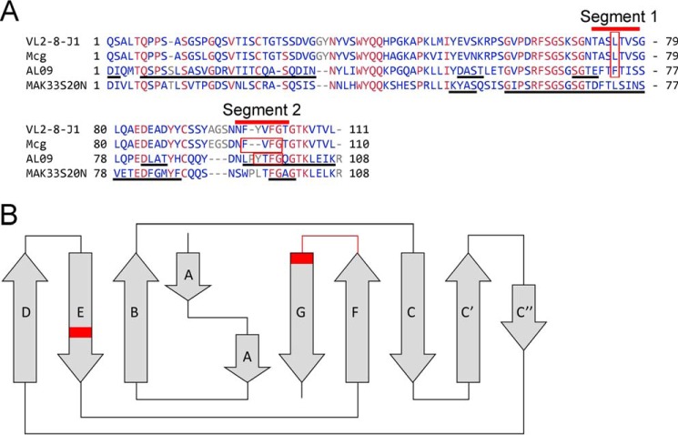 Figure 11.