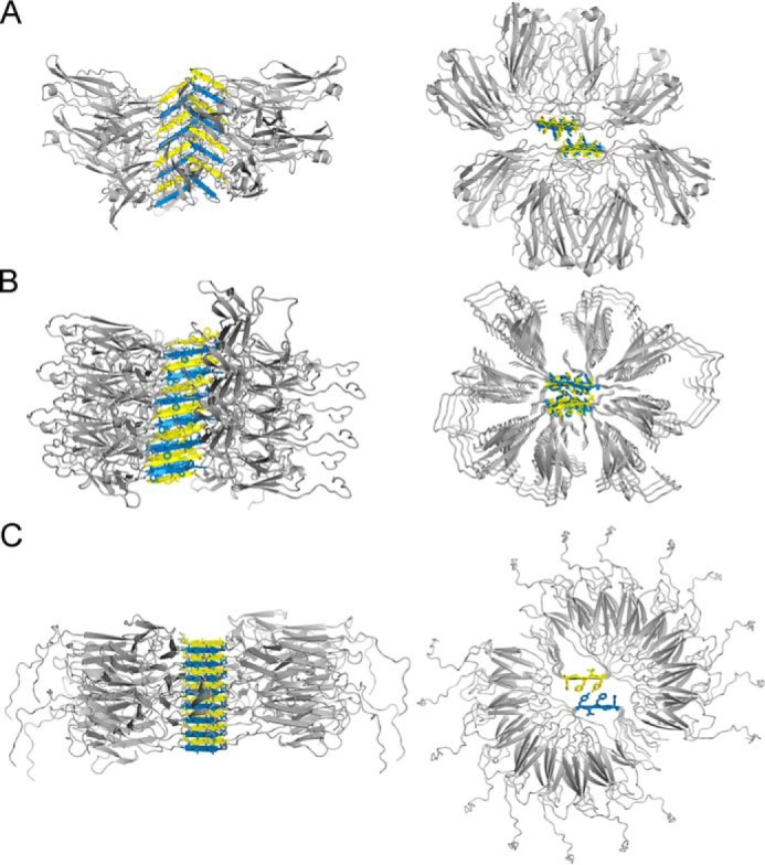 Figure 12.