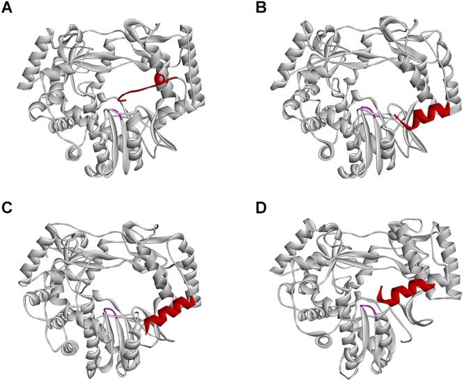 FIGURE 4