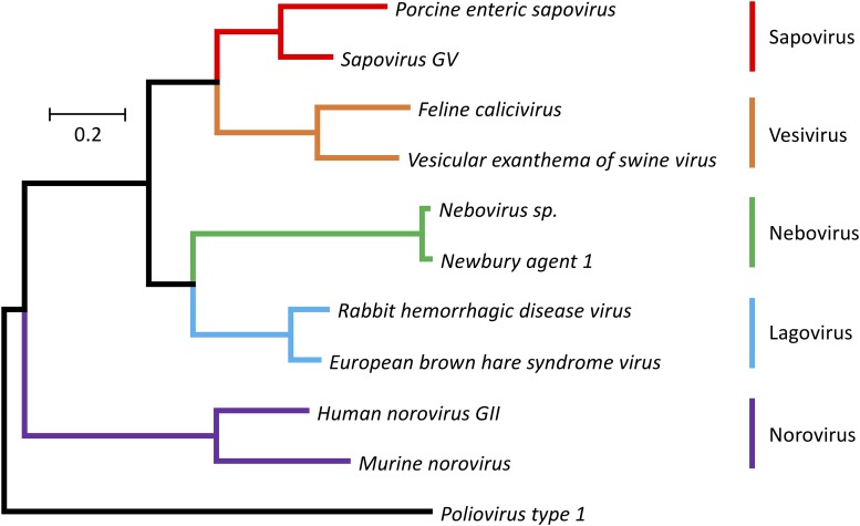 FIGURE 1